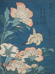 Peonies and Canary (Shakuyaku, Kanaari), from an Untitled Series Known as Small Flowers